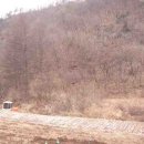 서삼농장 이미지