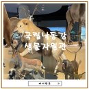 국립낙동강생물자원관 | 아이랑 실내 나들이 고민 끝, 국립낙동강생물자원관 다녀왔어요