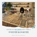 아이본 | 울산안경점 추천 귀엽고 실용적인 선글라스 득템한 날 아이본안경원 울산옥동안경점 후기