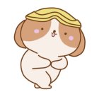 쇼골프 가양점 이미지