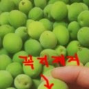 순창토종매실 이미지