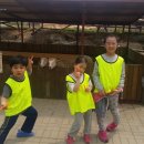 황룡태권도 이미지