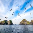 종로-현장-종로-세-282 이미지