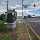 제주국제부동산공인중개사사무소 이미지