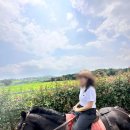 수이목장 | 성산 승마가능한 카페 아이스크림 라떼 맛집 목장카페 밭디(승마, 말먹이주기, 이색자전거, 카페...