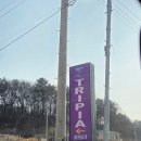 트리피아 더에코 키즈풀빌라 | 강화도 아이와가볼만한곳 트리피아 더에코 풀빌라 후기｜자연 속 힐링 숙소, 프라이빗한 감성 풀빌라 추천