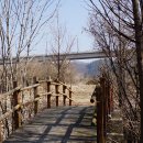 숲속길마을7단지 정류장(상행) | [포천] 한탄강 주상절리길 6코스 &amp; 7코스 가마소길(구라이골 출렁다리 - 한탄강 하늘다리)