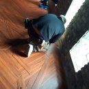 서부상재 이미지