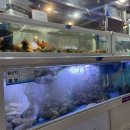 죠스해물포차 이미지