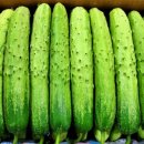 덕분농장 이미지