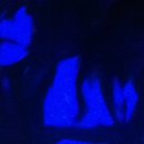 뉴스나이트클럽 이미지