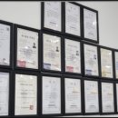 더독스 강아지분양 서울 이미지