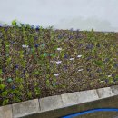 거사목장 이미지