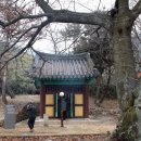 순천-75호 Daum카페