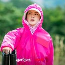 감자 게스트하우스