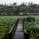 명인어린이공원 앞 이미지