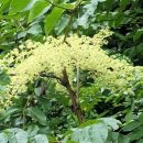 청옥산장 이미지