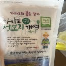 가고픈청보리 이미지