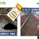 효진농장 이미지