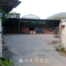 법인산에들에