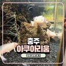 탄금공원 야외화장실(돌미로) | 충주 아이랑 가볼 만한 곳 올해 연말까지 무료 개장하는 충주 아쿠아리움