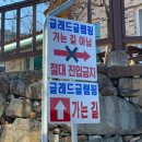 대병면_하금리(배출하우스)_1 | 더글래드글램핑: 합천호 호수뷰 보일러 따뜻한 신상 합천캠핑장 개별 화장실