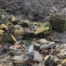 원주굽이길 17코스 동화마을진달래길 이미지