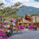 밀양로그 이미지