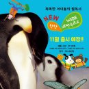 자연속으로 네이버블로그