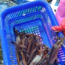 (주)부미