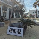 제주애월드림 | 제주 애월 이색 카페 해화탕 소원초 체험