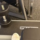 피티바이패스 | 봄맞이 PT 피티바이패스 , 방이동 피티 ( 꾸준히만 하자 )