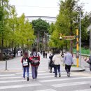 구일여행사