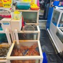 물치수산 | 물치해수욕장 맛집 강력 추천! 싱싱한 모듬회와 얼큰...상원이네 횟집 (상원이네 6호)' 솔직 후기!