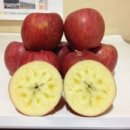 월곡농장 이미지