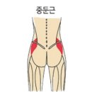 벤바디짐 이미지