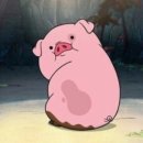 용두해수욕장숲속야영장 이미지