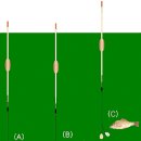 [붕어낚시 실전] 6. 중층낚시 이미지