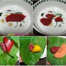 진성하나마트 네이버블로그