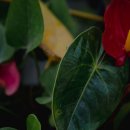 산림조합화장실 이미지