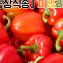 오누이농장 이미지