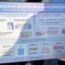 보템 | 홍대 망그러진곰+올리브영 콜라보 팝업스토어 망한 후기 +웨이팅팁, 콜라보템