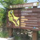 느티나무민박2 이미지