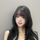 단비헤어 네이버블로그