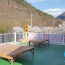 촌닭민박 이미지