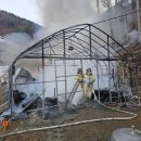 무릉도원면-21 이미지