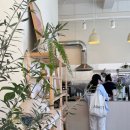 거제시청 | 거제 시청 인근 카페 마주라 평일 방문 후기