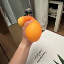 성은떡집 | 뚜벅이 제주여행 :: 노블피아호텔 | 제주 올레시장 | 천지연폭포 | 뽈살집 | 다정이네 | 딱새우회