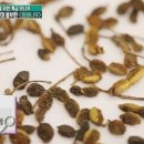 군산드림약국 네이버블로그