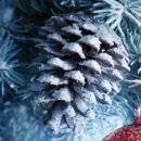 길안경원 이미지